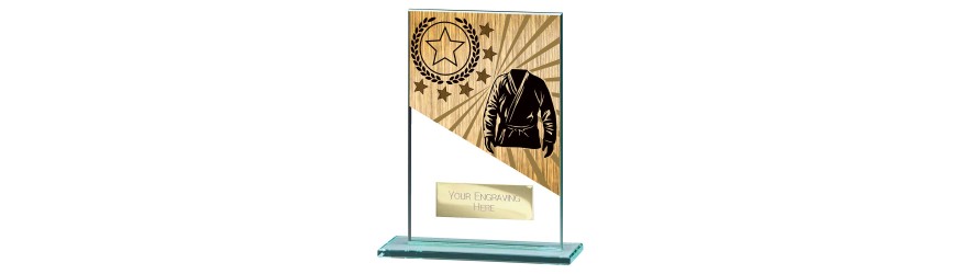 MUSTANG MARTIAL ARTS GLASS TROPHY - 5 SIZES - 11CM - 18CM MUSTANG MARTIAL ARTS GLASS TROPHY - 5 SIZES - 11CM - 18CM